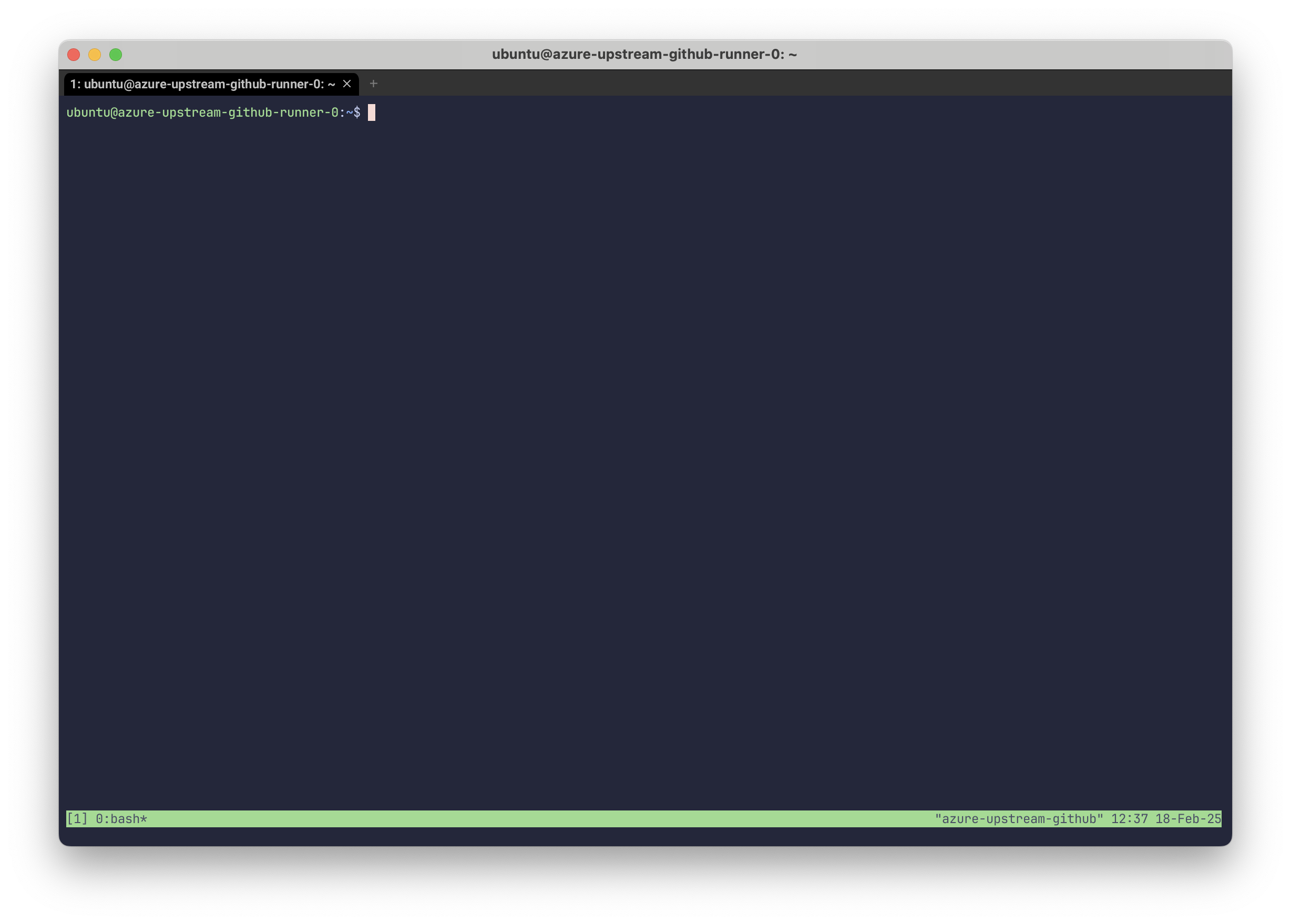 Empty tmux session